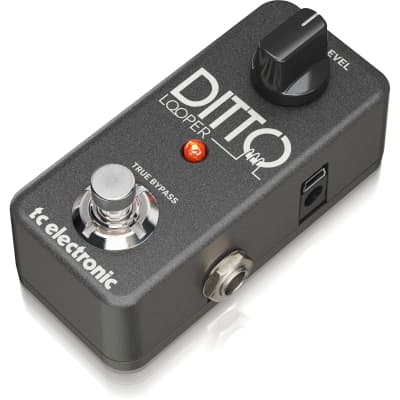 TC Electronic DITTO+ LOOPER Next Generation 60-Minute Multi-session Looper  Pedal