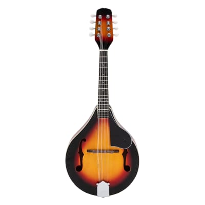 A Style 8-String Acoustic Mandolin with Pick Guard 2020s Sunset image 13