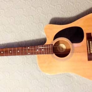 ギター Johnson EST.1993 electro-acoustic guitar Johnson Est. 1993 1993 Hardwood | Reverb