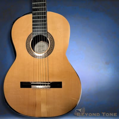 Aria LW 12T 12 String - Early 1990's Natural Finish | Reverb