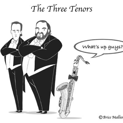 2 boxes of Alto saxophone Marca Superior reeds 3 + humor drawing print image 4