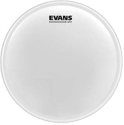 Evans UV1 8" Coated Drumhead image 1