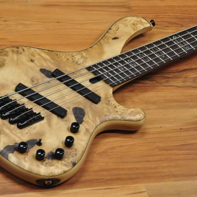 Maruszczyk Frog Omega 5a Multiscale Maple Burl | Reverb