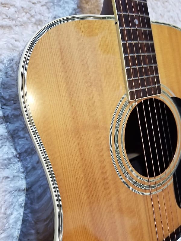 Morris w30 ビンテージ 貴重ジャパンビンテージ MORRIS W30 ヘッド変則初期ロゴ 今年1月