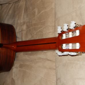 HAND MADE VINTAGE SHINANO GS250 CLASSICAL CONCERT GUITAR IN MINT(y) CONDITION image 8