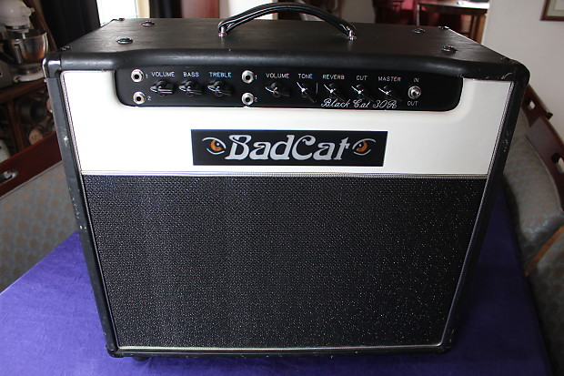 Bad Cat 
