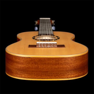 Ortega Family Series 7/8 Size Left-Handed Nylon Classical Guitar w/ Bag image 10