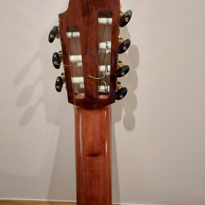 Jefferson Barros 7-String Guitar, (steel & nylon strings) 2023 image 6