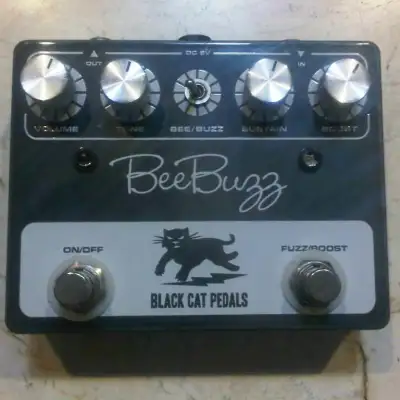 Black Cat Bee Buzz