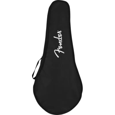 FENDER PM-180E Acoustic Mandolin image 6