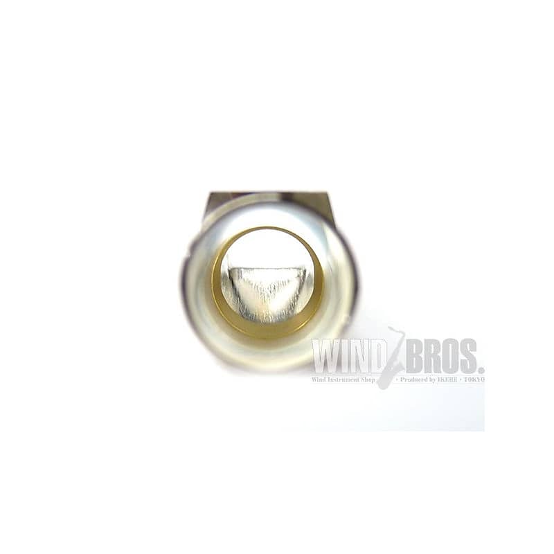 Wood Stone 'Opening: 6' Alto Saxophone Mouthpiece Woodstone