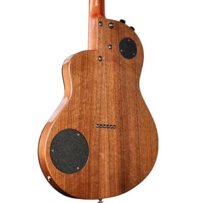Rick Turner Renaissance RS6 Cedar / Walnut #5906 image 4