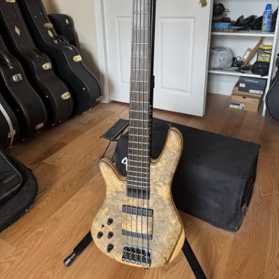 Zon Sonus 519 2013 - Buckeye Burl image 1