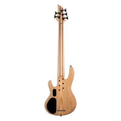 ESP LTD B-205SM Fretless 5-String Electric Bass Guitar with Roasted Jatoba Fingerboard, Ash Body, Spalted Maple Top, and 5-Piece Maple or Jatoba Neck (Right-Handed, Natural Satin) image 2
