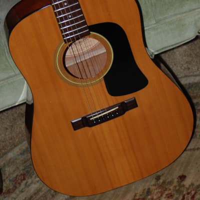 Washburn D-12n Acoustic Guitar | Reverb