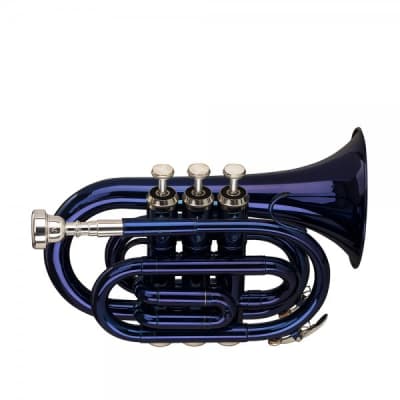 Stagg WS-TR246S Bb Pocket Trumpet with Case Blue image 2