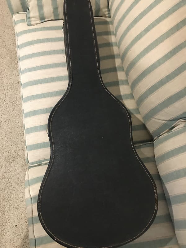 Guitar case 2024 brands