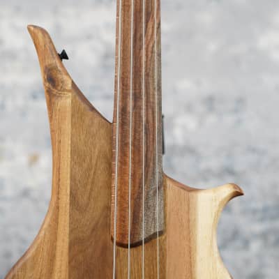 TNV Acacia Short-Scale Fretless Bass 2.0 image 4
