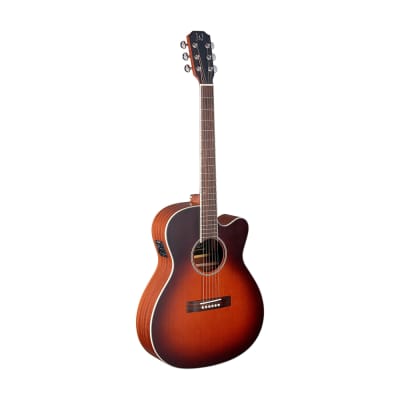 Acoustic Guitar JAMES NELIGAN Ezr OM - Orchestra + Fishman Pickup - solid cedar top for sale