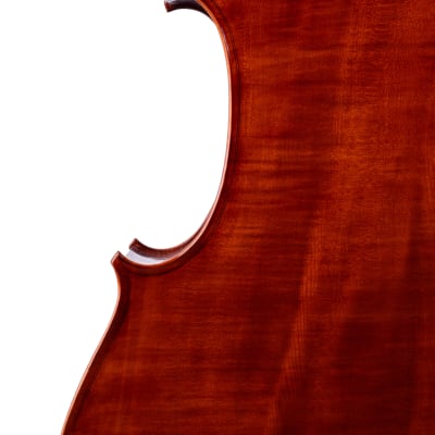 Gasparo Da Salo Doublebass 3/4 Hand-Made in Romania 2024 #5 image 7