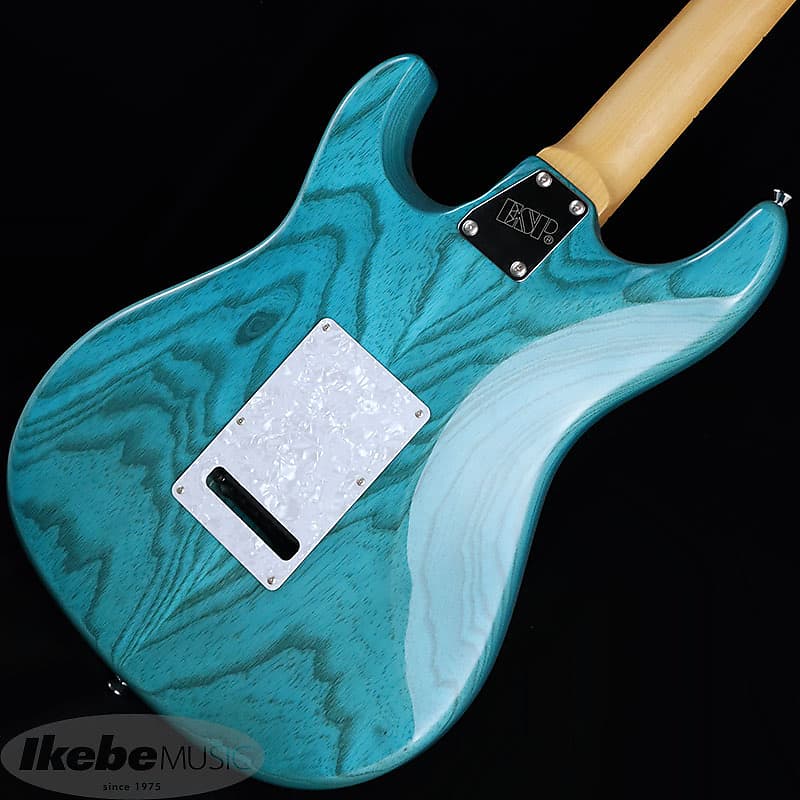 EDWARDS ( エドワーズ ) E-SNAPPER-AS/M Turquoise 送料無料