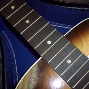 Vintage Silvertone original H 666 12-string Acoustic Guitar