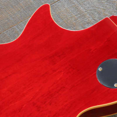 Jay Turser Serpent Les Paul Stle Guitar Trans Red Flametop + Case image 14