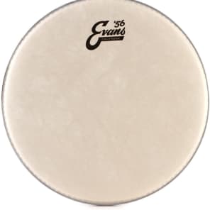 Evans Calftone Drumhead - 12 inch image 5
