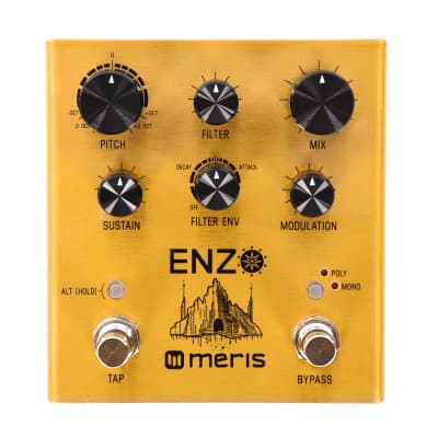 Meris Enzo Multi-Voice Synthesizer Pedal image 1
