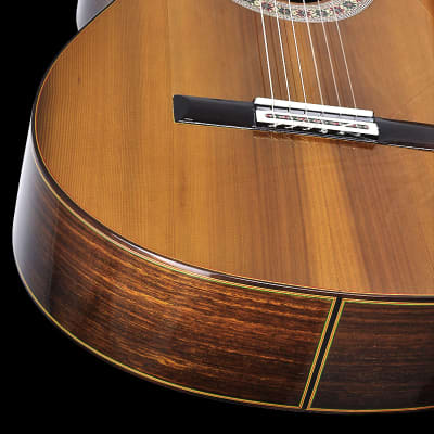 Graciliano Perez flamenco guitar "negra" Cedar + Indian Rosewood 2022 image 11