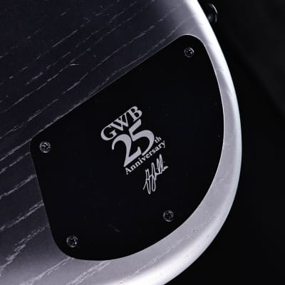 Ibanez Gary Willis 25th-Anniv Signature 5-string Fretless Bass, Silver Wave Burst 9lbs 4.7oz image 11