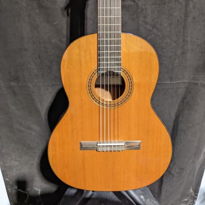 Cordoba Dolce 7/8 Nylon String Acoustic Guitar image 2
