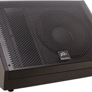 Peavey 12 store monitor speaker