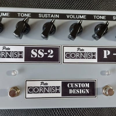 P-2 / SS-2 DUPLEX 【USED】 – PEDAL SHOP CULT