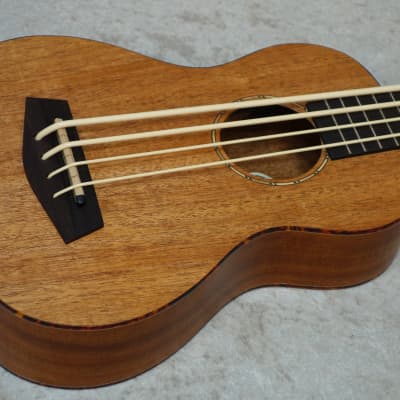 Donner DUB-1 acoustic electric ukulele bass | Reverb