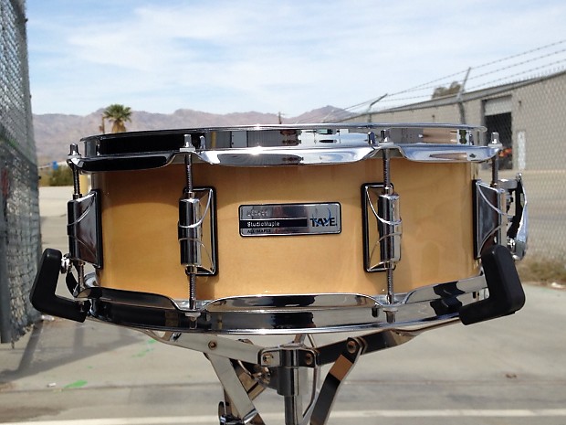 Taye studio best sale maple snare