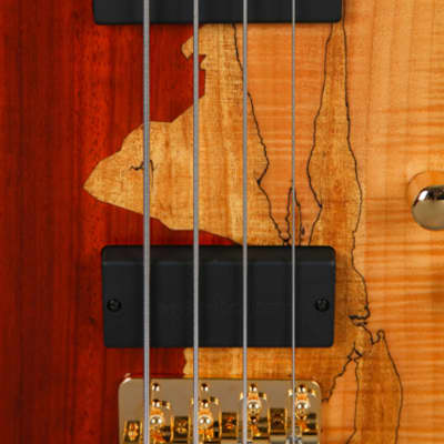 Cort Rithimic Nat Jeff Berlin Signature 4 String Electric Bass Paduck Spalted image 9