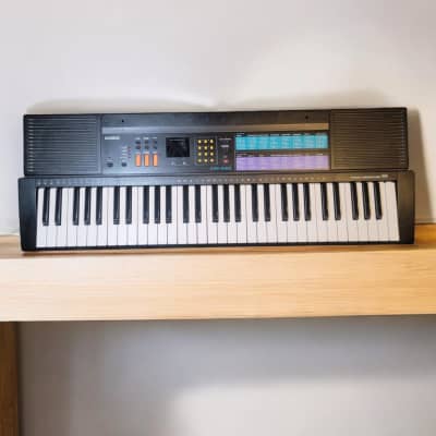 Casio ctk 800 review best sale