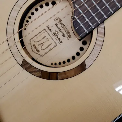 James Neligan Sco-dce  Natural acoustic electric with Rainsong Necktology image 3