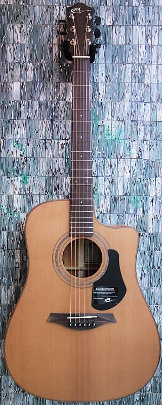 Mayson Elementary Series ECD10CE Electro-Acoustic Dreadnought Cutaway image 1