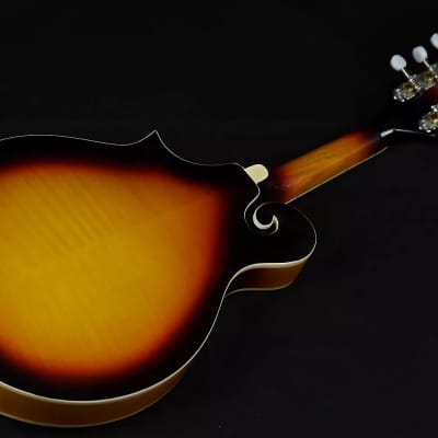 Gold Tone GM-35 F-Style Spruce Top Maple Neck 8-String Mandolin with Foam Case image 4