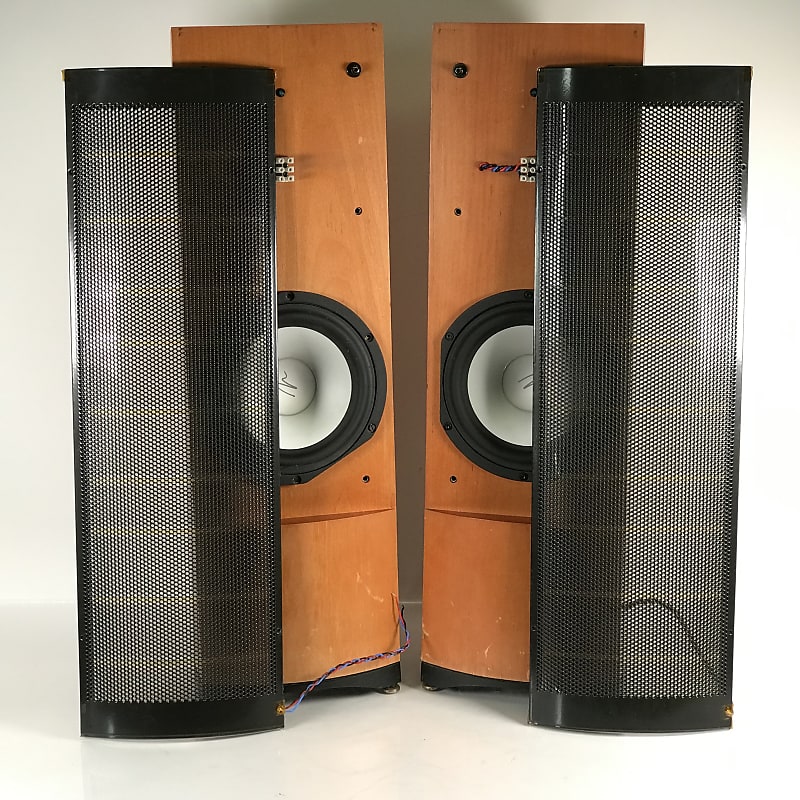 Martin Logan Clarity Hybrid Electrostatic Loudspeaker System