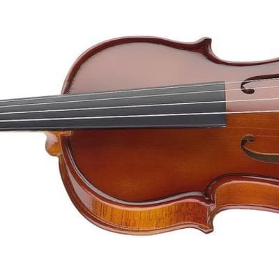 Stagg VN-1/2 E 1/2-Size Violin with Solid Spruce Top & Ebony Fingerboard with Standard Soft Case - Natural image 2