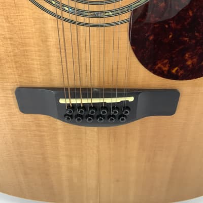 Samick Greg Benett Design 12 String Acoustic Guitar Model D-2-12 image 8