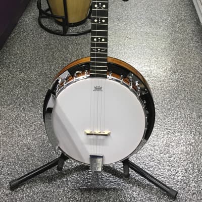 Danville BJ-24 5-String Banjo image 1