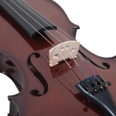 Palatino VN-450 Allegro Violin Outfit, 1/2 Size image 5