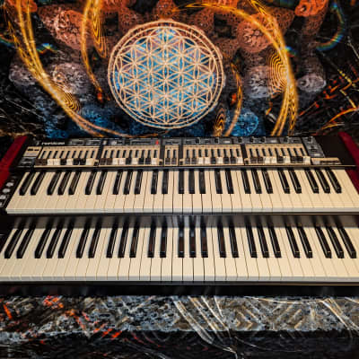 Nord C2D Dual 61-Key Manual Combo Organ 2012 - 2019 - Black with Wood Sides
