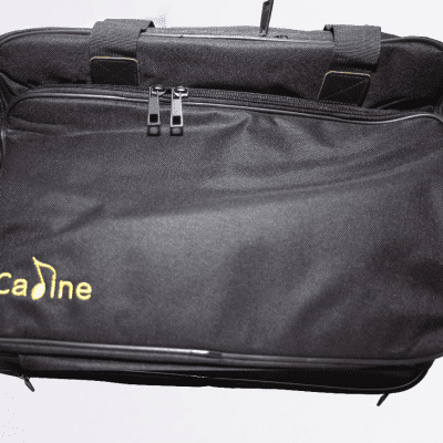 Caline CB-106 Pedalboard and Train Mid Sized Heavy Duty Case with Padding image 2