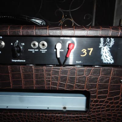 Hamiltone " King Tone Consoul " NOS (head and cab) Ltd 100 W clone of SRV's Dumble with 2X12 Cab 1of50 made!! image 7
