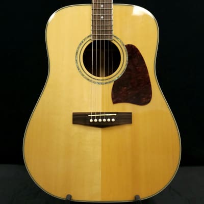IBANEZ AW10 acoustic guitars